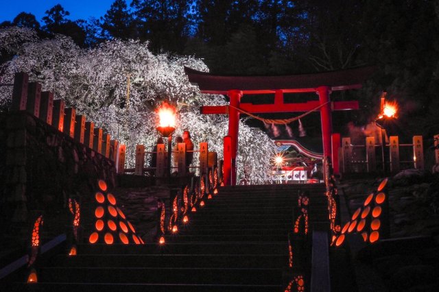 小川諏訪神社ライトアップ