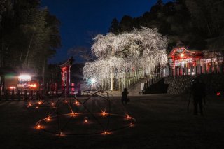 過去開催時の様子