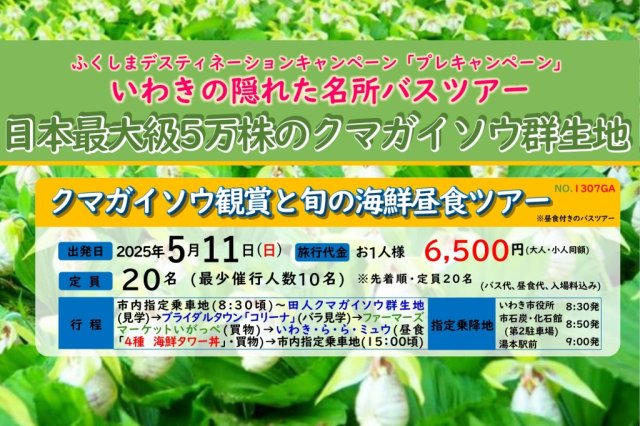 いわきあるき2025　日本最大級5万株のクマガイソウ観賞と旬の海鮮昼食《要事前申込》