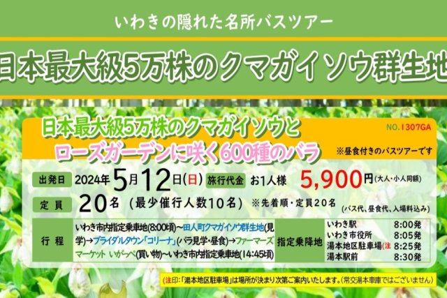 いわきあるき2024　日本最大級5万株のクマガイソウとローズガーデンに咲く600種のバラ《要事前申込》