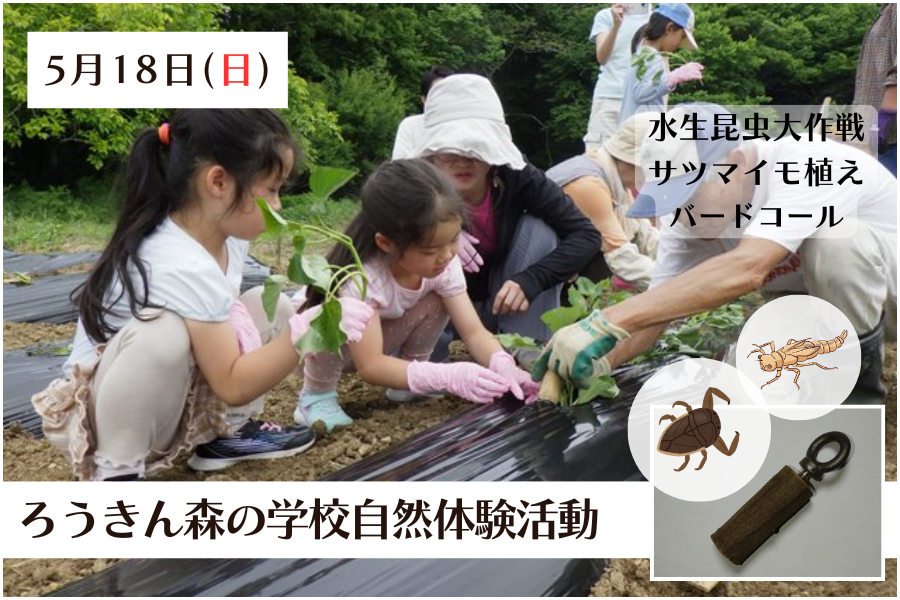 画像はイメージです。