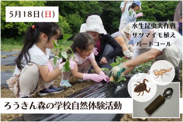 自然体験活動