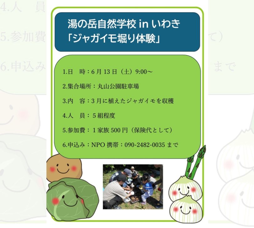 ジャガイモ掘り体験《要事前申込》
