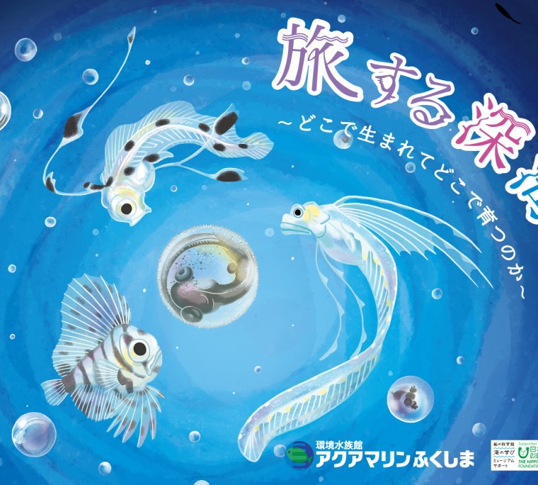 アクアマリンふくしま　企画展「旅する深海魚～どこで生まれてどこで育つのか～」