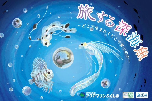 アクアマリンふくしま　企画展「旅する深海魚～どこで生まれてどこで育つのか～」