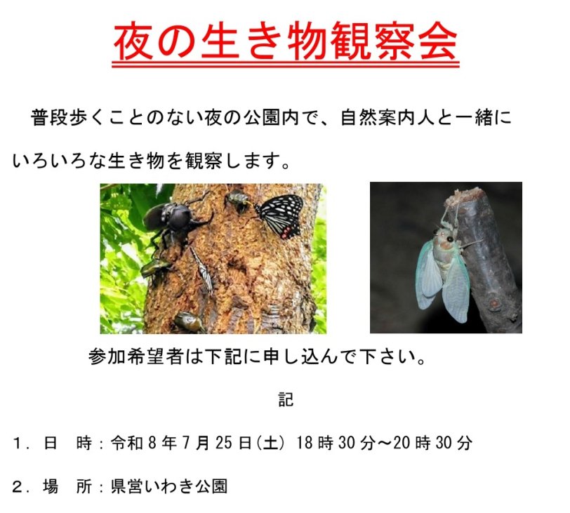 夜の生き物観察会《要事前申込》