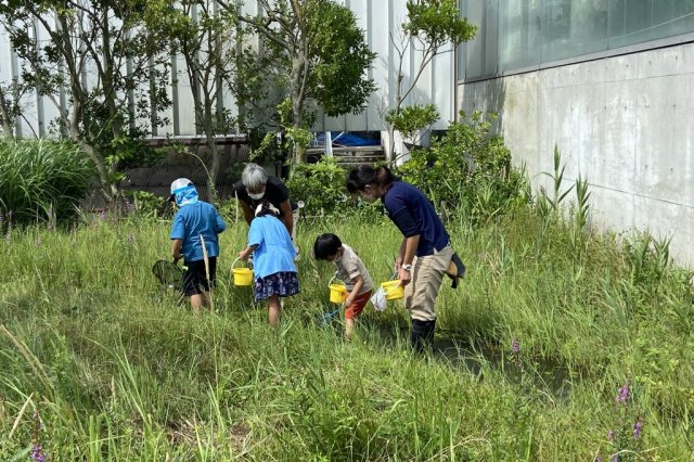 飼育員と学ぼうアクアマリン調査隊《要事前申込》