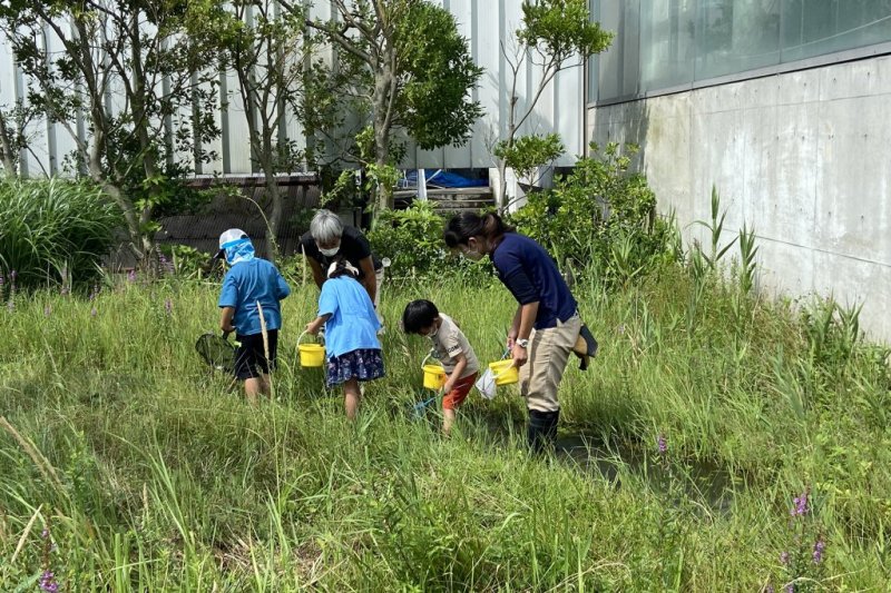 BIOBIOかっぱの里いきもの調査　開催日：7月27日(土)、8月3日(土)、8月10日(土)、8月17日(土)、8月24日(土)