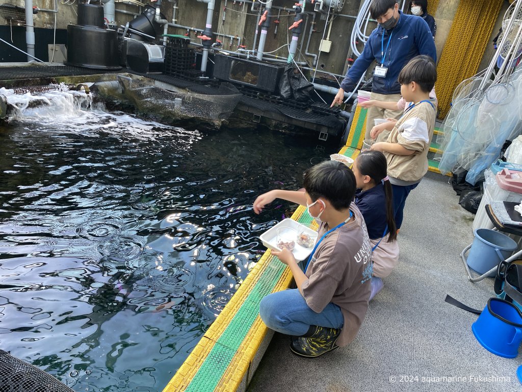 サンゴ礁の魚に餌をやろう　開催日：12月14日(土)