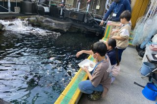 サンゴ礁の魚に餌をやろう　開催日：12月14日(土)