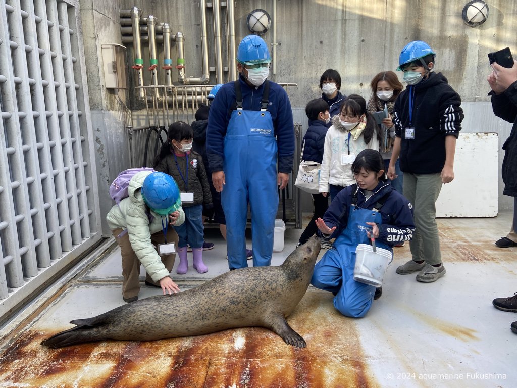 海獣たちに近づこう！　開催日：3月8日(土)