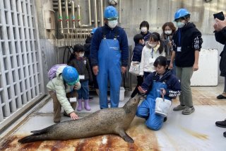 海獣たちに近づこう！　開催日：3月8日(土)