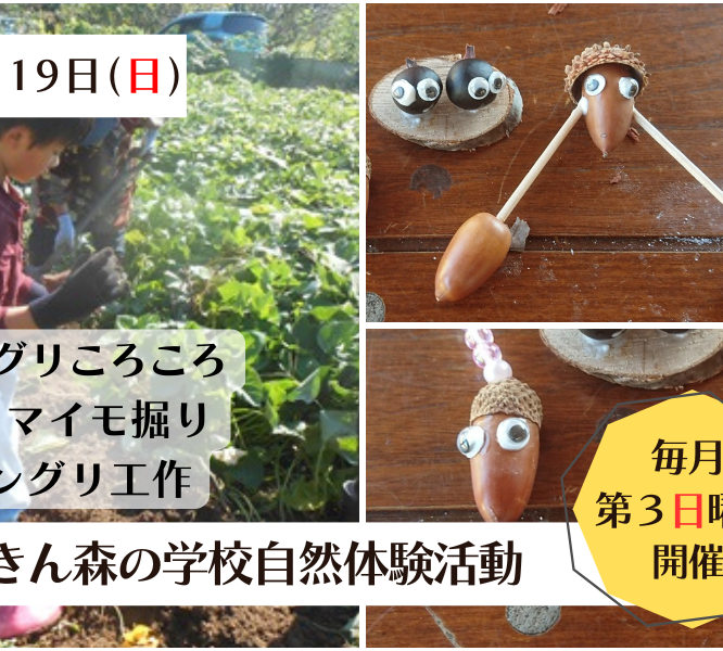 自然体験活動＜10月イベント＞