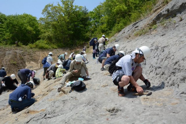  Iwaki City Ammonite Center