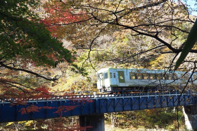 春暖の夏井川渓谷 川前 江田駅間ウォーキング おすすめコース いわき市観光サイト いわき市の観光 旅行情報が満載