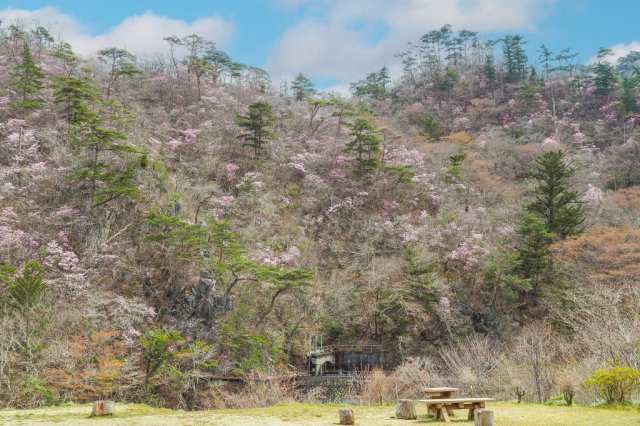 夏井川渓谷錦展望台