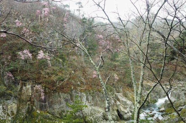 籠場の滝
