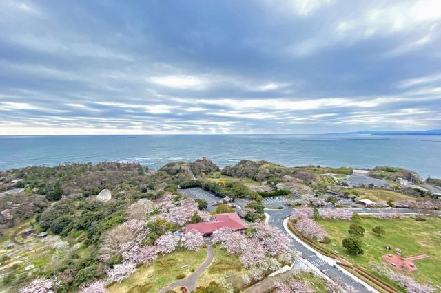 Iwaki Marine Tower