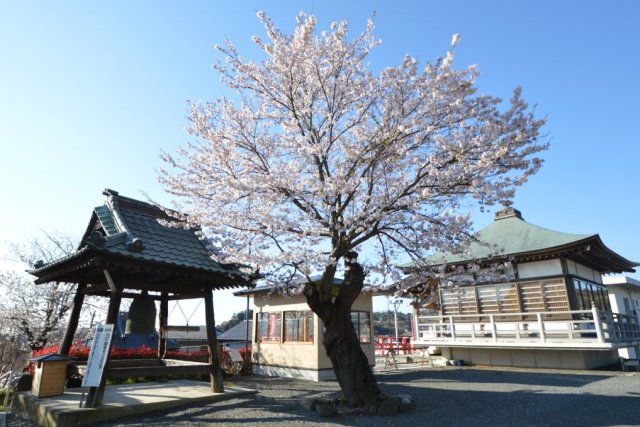 真言宗智山派　関松山宝寿院松山寺