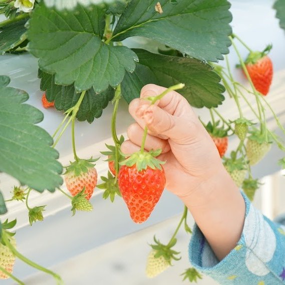 体験レポート｜いわき市観光サイト いわき市の観光・旅行情報が満載！