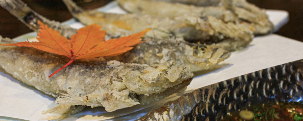 メヒカリ 居酒屋 浜料理 肴 でお魚三昧 いわきのイチオシ いわき市観光サイト いわき市の観光 旅行情報が満載