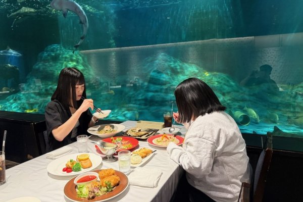 メヒコには“サメ”の世界も⁉