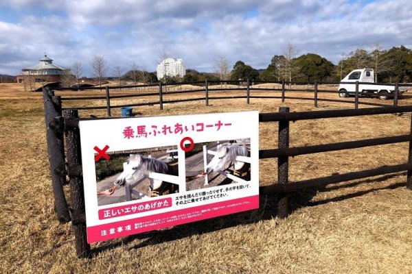 ヘレナリゾートでは、いちご狩り以外の体験も！