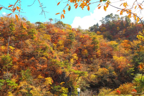 磐越東線　紅葉時期にあわせた速度低下運転