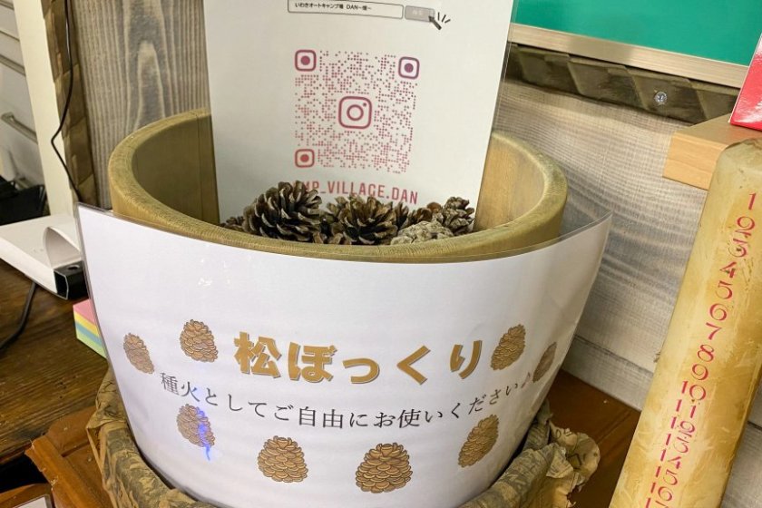 たくさんの松ぼっくり