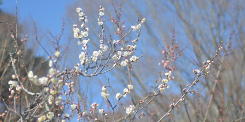 2022年3月17日(日)現在