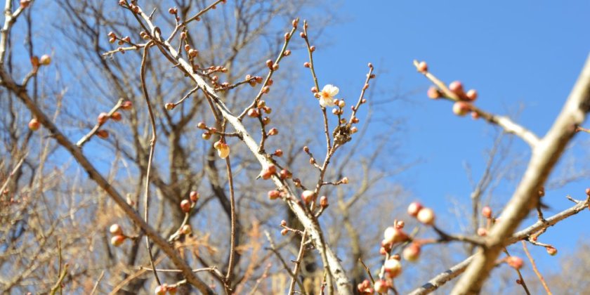 2023年2月5日(日)現在