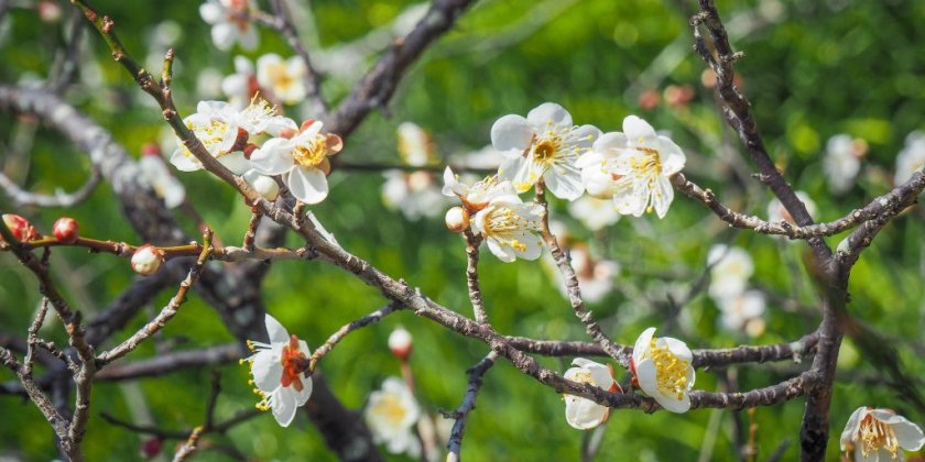 2023年2月11日(土)現在