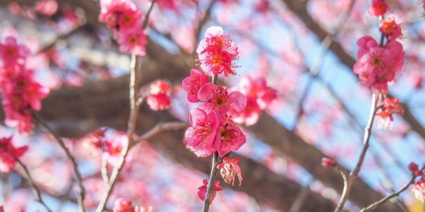 2023年2月11日(土)現在