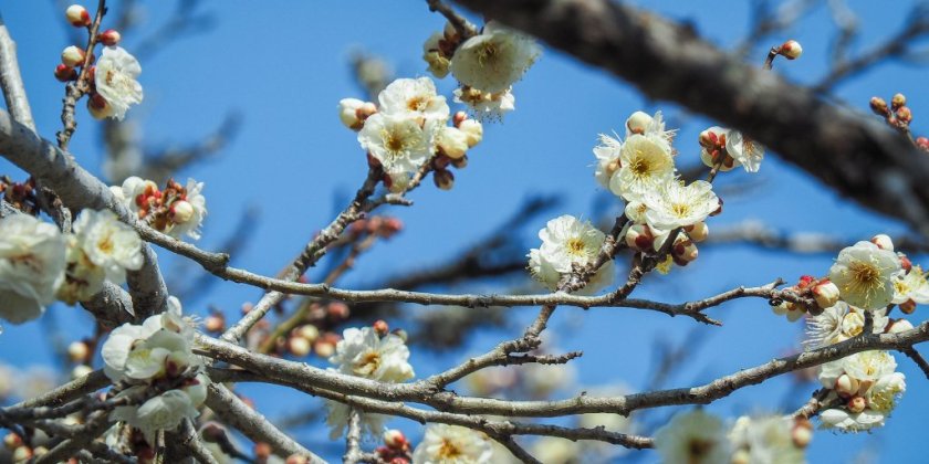 2023年2月18日現在