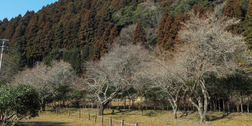 2023年2月18日現在