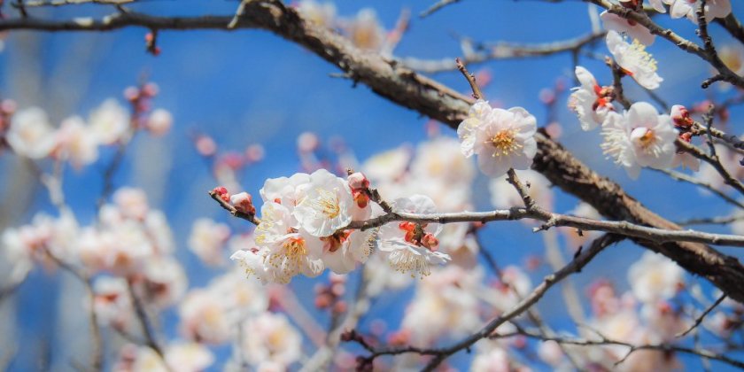 2023年3月5日(日)現在