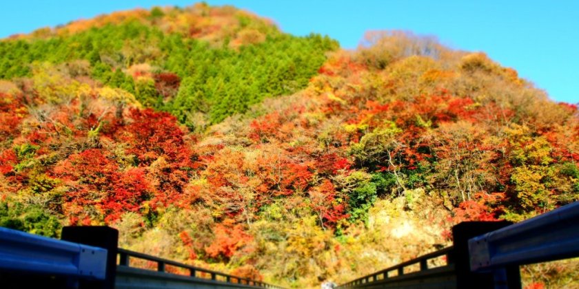 東北で毎年最後に紅葉が満喫できるスポットとして評判の龍神峡