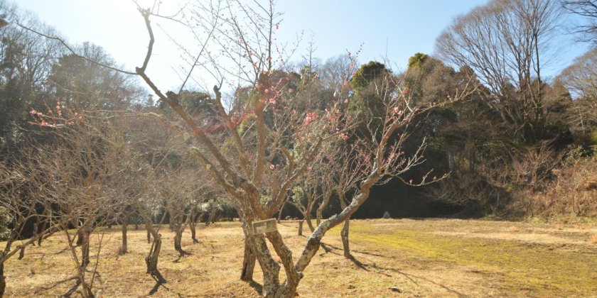 2023年2月5日(日)現在