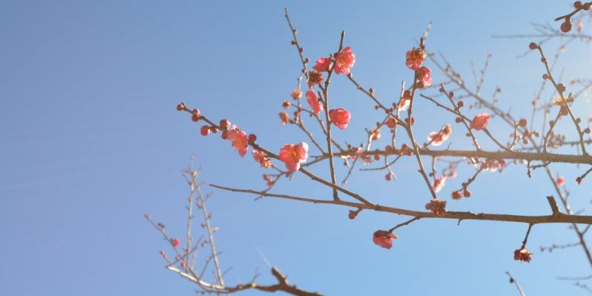 2023年2月5日(日)現在