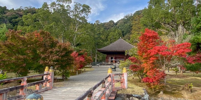 2025年11月6日現在