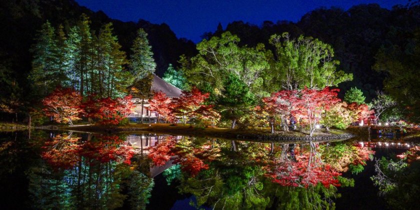 アミダナイト2025