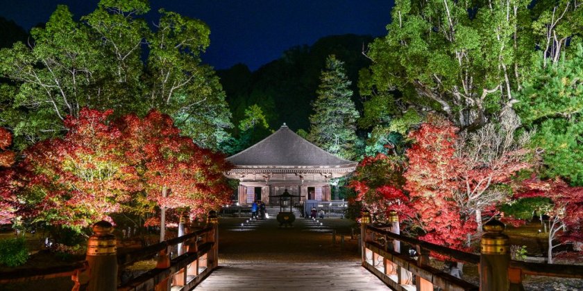 アミダナイト2025