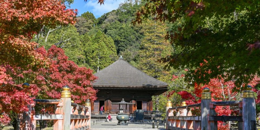 2025年11月12日(水)現在