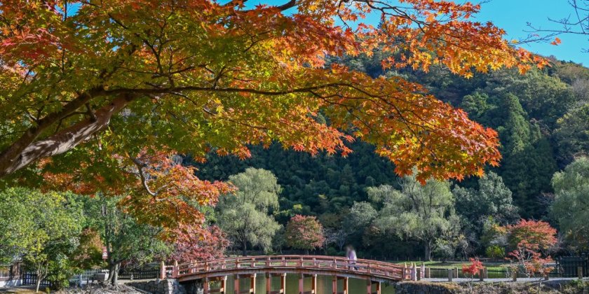 2025年11月12日(水)現在