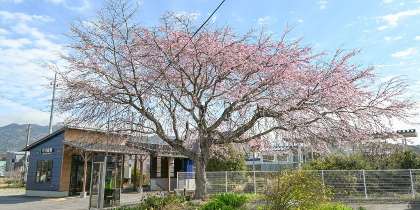JR小川郷駅（4月1日現在）