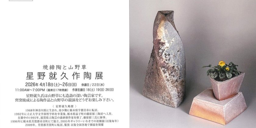 星野就久作陶展(GALLERYIWAKI)