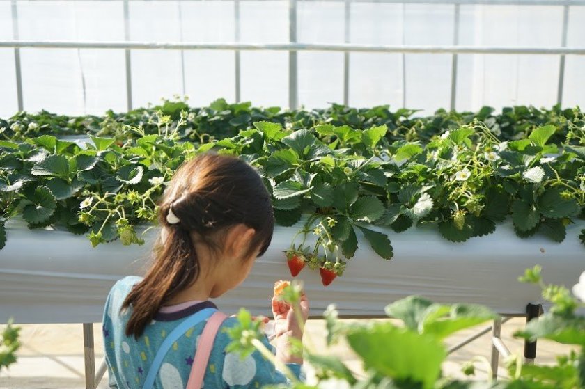 小さいお子様でも手が届く高さ