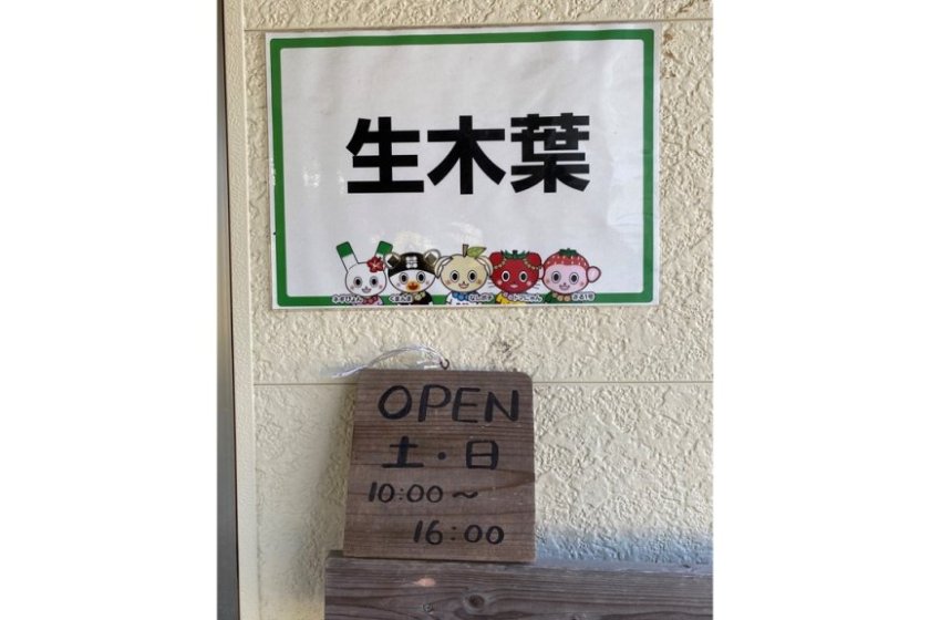 土日のみの営業です
