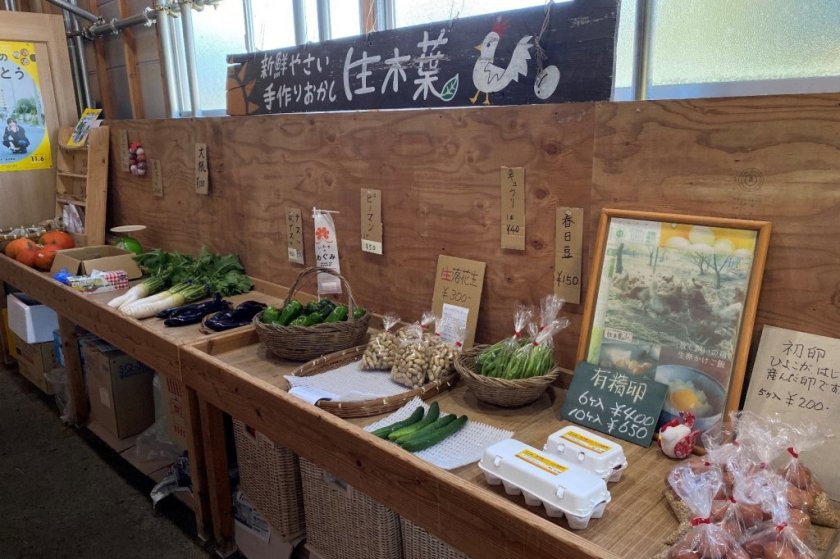新鮮な野菜と卵が並びます